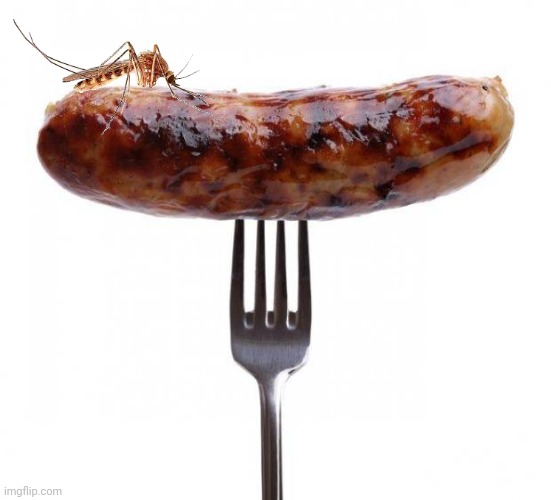 Name this image | made w/ Imgflip meme maker