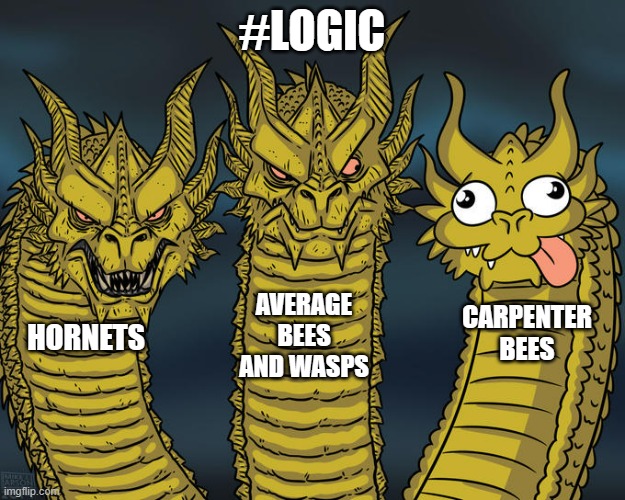 Real truth | #LOGIC; AVERAGE BEES AND WASPS; CARPENTER BEES; HORNETS | image tagged in three-headed dragon,logic | made w/ Imgflip meme maker