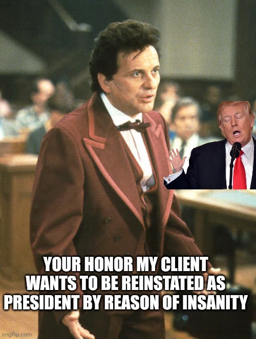 Trump Claims Insanity Plea | YOUR HONOR MY CLIENT WANTS TO BE REINSTATED AS PRESIDENT BY REASON OF INSANITY | image tagged in donald trump,trump meme,funny memes,donald trump is an idiot,political meme,insanity | made w/ Imgflip meme maker