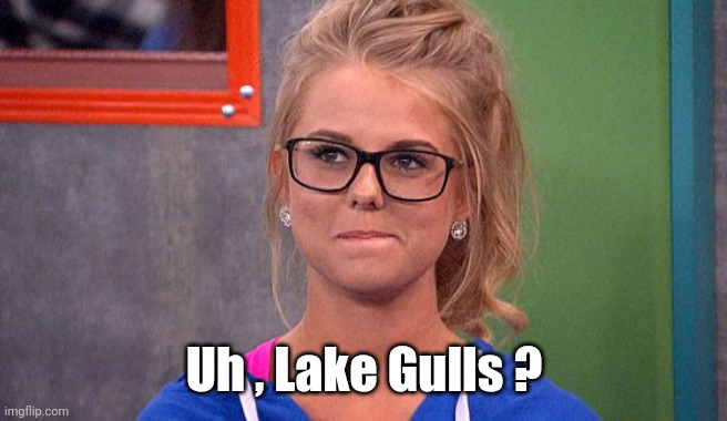 Nicole 's thinking | Uh , Lake Gulls ? | image tagged in nicole 's thinking | made w/ Imgflip meme maker