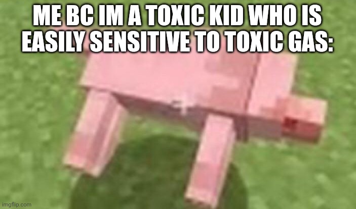 minecraft dog dying | ME BC IM A TOXIC KID WHO IS EASILY SENSITIVE TO TOXIC GAS: | image tagged in minecraft dog dying | made w/ Imgflip meme maker