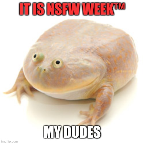 It is wednesday my dudes | IT IS NSFW WEEK™ MY DUDES | image tagged in it is wednesday my dudes,nsfw,nsfw week | made w/ Imgflip meme maker