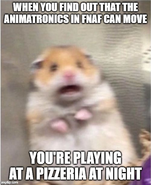 dvgdsghvdhsvghcdcdcggvdgvvwf | WHEN YOU FIND OUT THAT THE ANIMATRONICS IN FNAF CAN MOVE; YOU'RE PLAYING AT A PIZZERIA AT NIGHT | image tagged in scared hamster | made w/ Imgflip meme maker