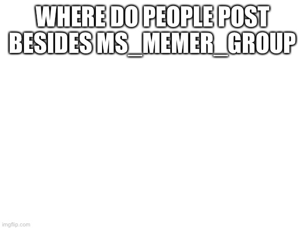 This place? | WHERE DO PEOPLE POST BESIDES MS_MEMER_GROUP | made w/ Imgflip meme maker