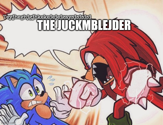 Knuckles yelling at Sonic | Teyjheghjgjhkekejejejgaysjsjsjsj THE JUCKMBLEJDER | image tagged in knuckles yelling at sonic | made w/ Imgflip meme maker