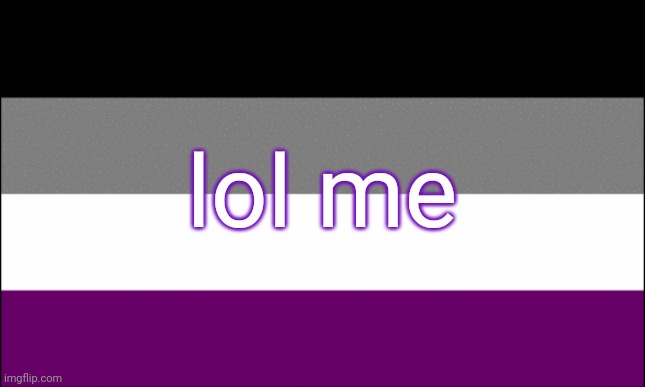 ace flag | lol me | image tagged in ace flag | made w/ Imgflip meme maker