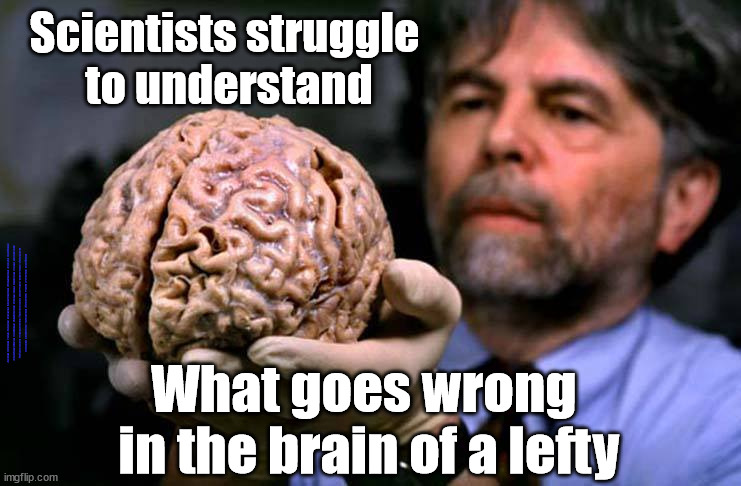 Scientists struggle to understand what goes wrong in the brain of a lefty | Scientists struggle 
to understand; #Immigration #Starmerout #Labour #wearecorbyn #KeirStarmer #DianeAbbott #McDonnell #cultofcorbyn #labourisdead #labourracism #socialistsunday #nevervotelabour #socialistanyday #Antisemitism #Savile #SavileGate #Paedo #Worboys #GroomingGangs #Paedophile #IllegalImmigration #Immigrants #Invasion #StarmerResign #Starmeriswrong #SirSoftie #SirSofty #Blair #Steroids #Economy; What goes wrong 
in the brain of a lefty | image tagged in lefty losy brain,illegal immigration,labourisdead,starmerout getstarmerout,stop boats rwanda echr,greenpeace just stop oil | made w/ Imgflip meme maker