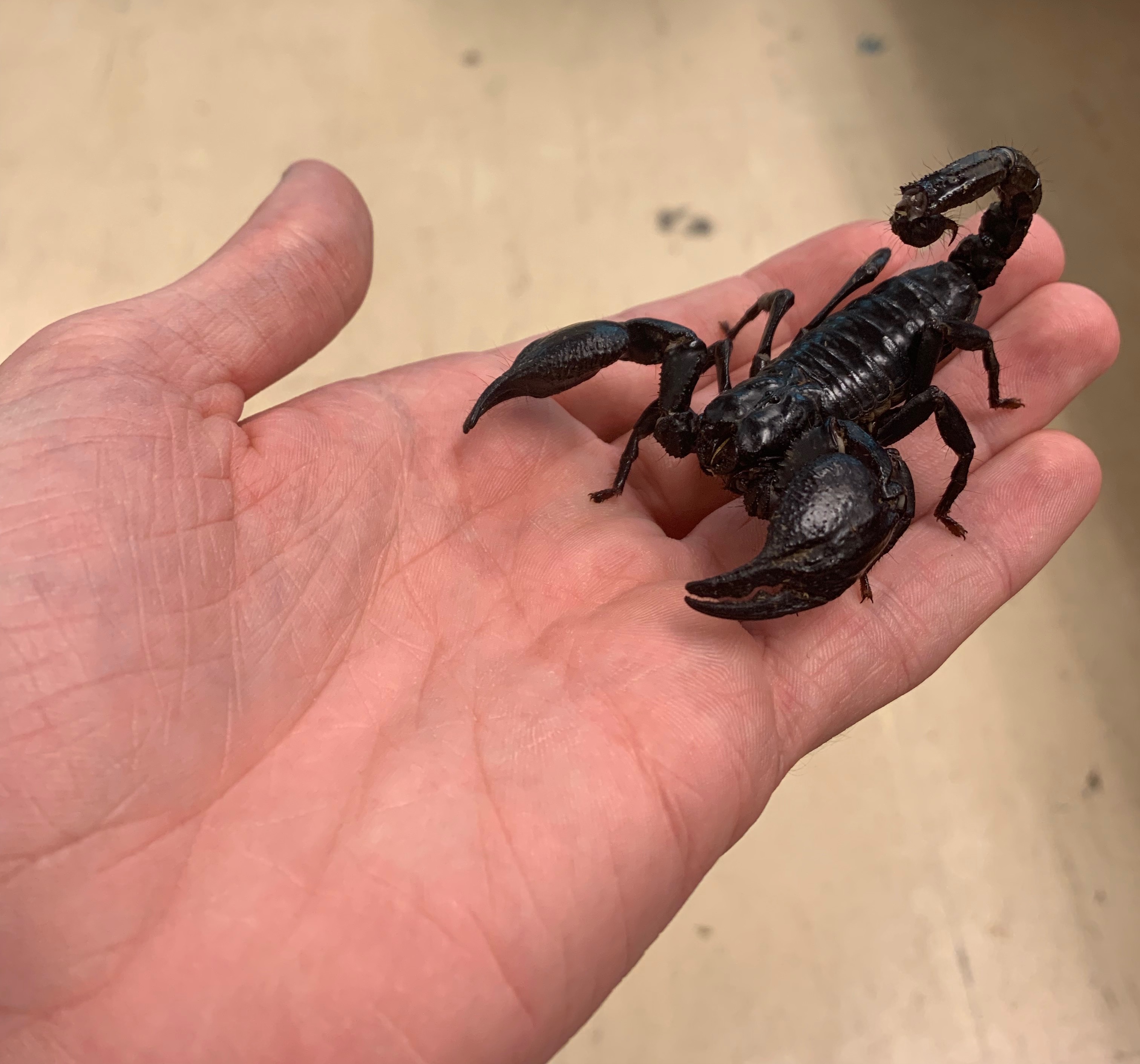 Little stupid moron | made w/ Imgflip meme maker