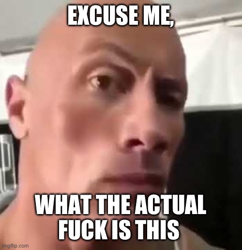 The Rock Eyebrows | EXCUSE ME, WHAT THE ACTUAL FUCK IS THIS | image tagged in the rock eyebrows | made w/ Imgflip meme maker
