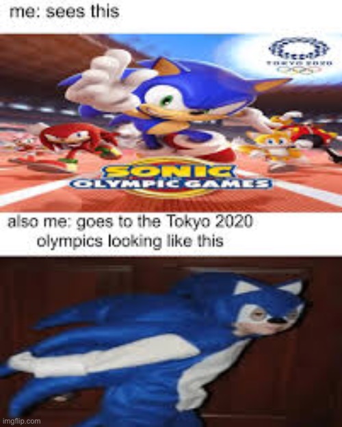 image tagged in sonic the hedgehog,mario | made w/ Imgflip meme maker