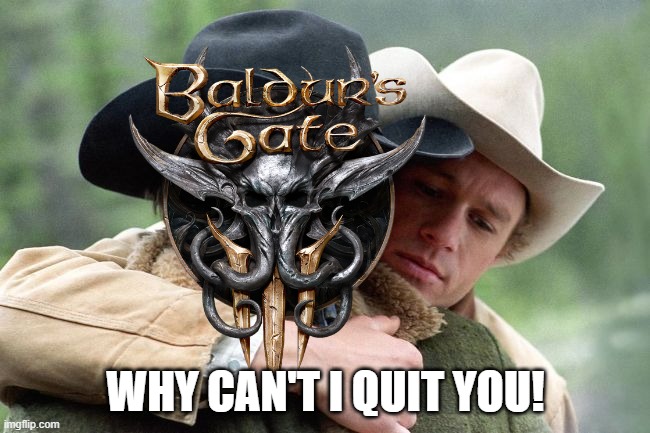 Can't quit BG3! | WHY CAN'T I QUIT YOU! | image tagged in tsla why can't i quit you | made w/ Imgflip meme maker