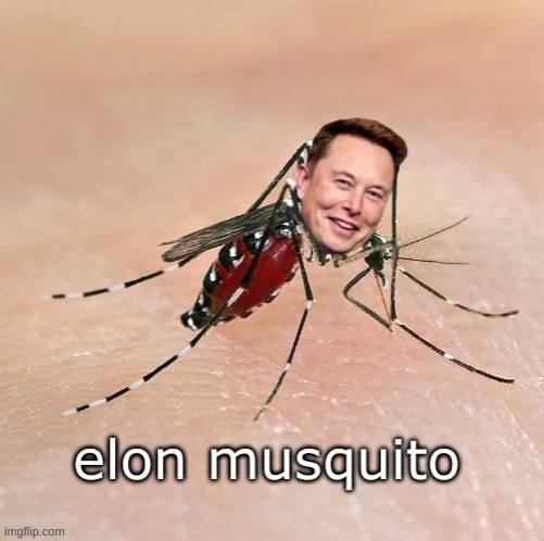Elon musquito (image made by me) | made w/ Imgflip meme maker