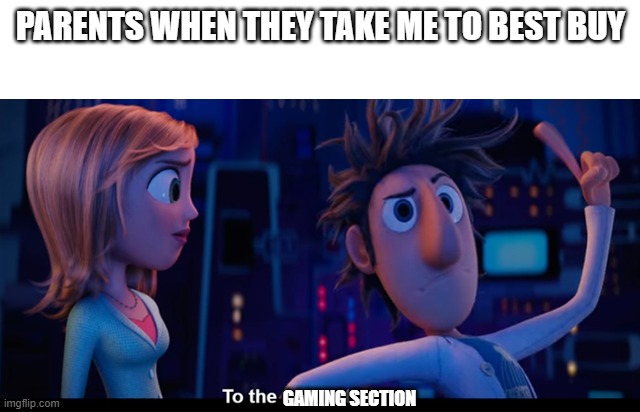just me? | PARENTS WHEN THEY TAKE ME TO BEST BUY; GAMING SECTION | image tagged in to the computer | made w/ Imgflip meme maker