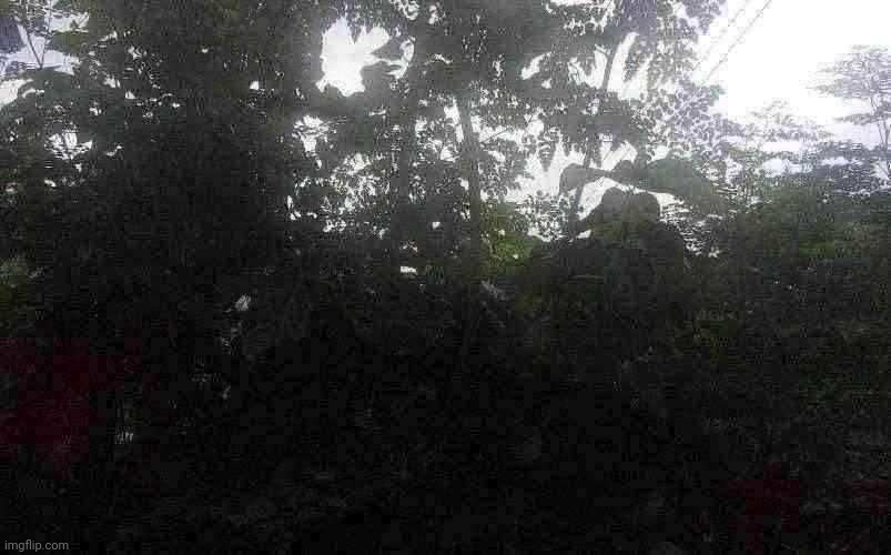 Hadera Checkpoint (bush view) | made w/ Imgflip meme maker