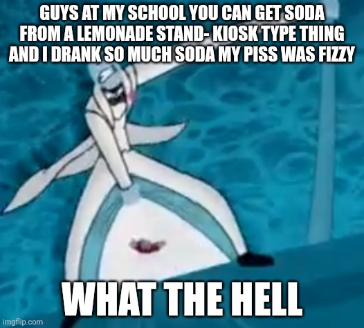 :( like wtf | GUYS AT MY SCHOOL YOU CAN GET SODA FROM A LEMONADE STAND- KIOSK TYPE THING AND I DRANK SO MUCH SODA MY PISS WAS FIZZY; WHAT THE HELL | made w/ Imgflip meme maker