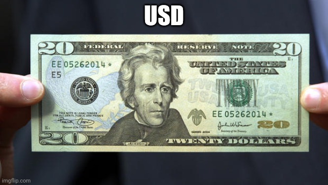 Tweny Dollar Bill, Alexander Hamilton | USD | image tagged in tweny dollar bill alexander hamilton | made w/ Imgflip meme maker