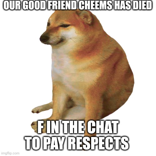 cheems | OUR GOOD FRIEND CHEEMS HAS DIED; F IN THE CHAT TO PAY RESPECTS | image tagged in cheems | made w/ Imgflip meme maker