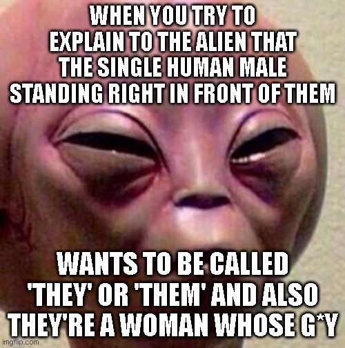 High Alien | WHEN YOU TRY TO EXPLAIN TO THE ALIEN THAT THE SINGLE HUMAN MALE STANDING RIGHT IN FRONT OF THEM; WANTS TO BE CALLED 'THEY' OR 'THEM' AND ALSO THEY'RE A WOMAN WHOSE G*Y | image tagged in high alien | made w/ Imgflip meme maker