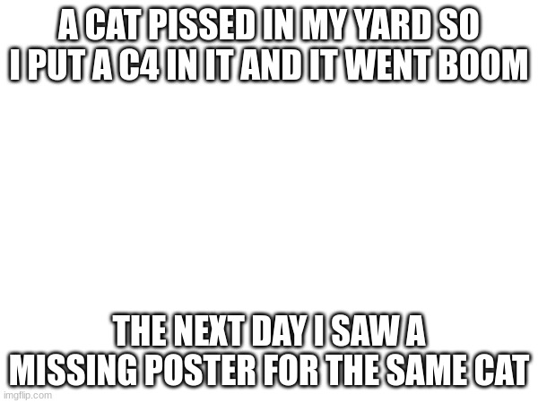 Uh oh | A CAT PISSED IN MY YARD SO I PUT A C4 IN IT AND IT WENT BOOM; THE NEXT DAY I SAW A MISSING POSTER FOR THE SAME CAT | image tagged in boom | made w/ Imgflip meme maker