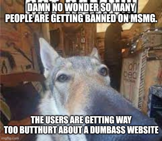 GOT DAMN!!! | DAMN NO WONDER SO MANY PEOPLE ARE GETTING BANNED ON MSMG. THE USERS ARE GETTING WAY TOO BUTTHURT ABOUT A DUMBASS WEBSITE | image tagged in got damn | made w/ Imgflip meme maker