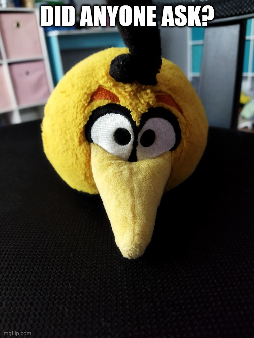 Bubbles | DID ANYONE ASK? | image tagged in bubbles | made w/ Imgflip meme maker