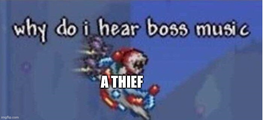 why do i hear boss music | A THIEF | image tagged in why do i hear boss music | made w/ Imgflip meme maker