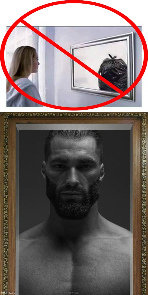 image tagged in trash in the mirror,based chad looking in the mirror | made w/ Imgflip meme maker