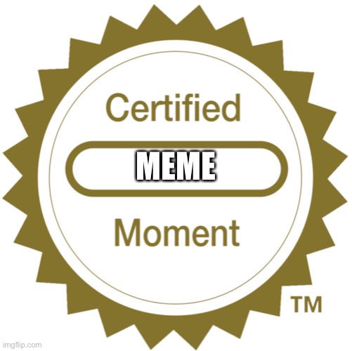 Certified Moment | MEME | image tagged in certified moment | made w/ Imgflip meme maker