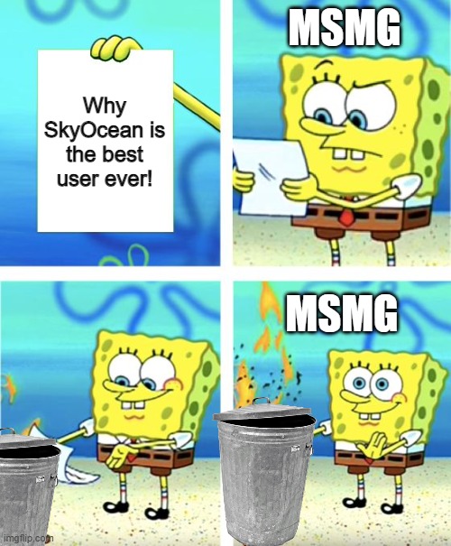 yippee | MSMG; Why SkyOcean is the best user ever! MSMG | image tagged in spongebob burning paper | made w/ Imgflip meme maker