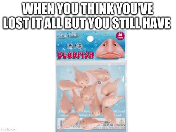 I laughed so hard at the shrimp friend one so I thought I’d make this | WHEN YOU THINK YOU’VE LOST IT ALL BUT YOU STILL HAVE | image tagged in funny | made w/ Imgflip meme maker