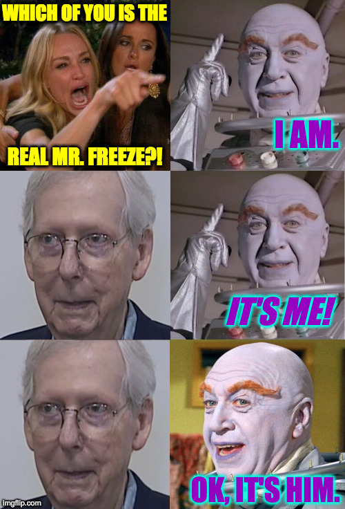 Ayyy......yup. | WHICH OF YOU IS THE; I AM. REAL MR. FREEZE?! IT'S ME! OK, IT'S HIM. | image tagged in memes,woman yelling at cat,mitchter freeze | made w/ Imgflip meme maker
