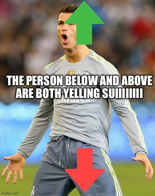 Suiiiiiii | THE PERSON BELOW AND ABOVE ARE BOTH YELLING SUIIIIIIII | image tagged in suiiii | made w/ Imgflip meme maker