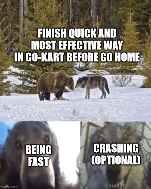 Finish in go-kart solutions | FINISH QUICK AND MOST EFFECTIVE WAY IN GO-KART BEFORE GO HOME; CRASHING (OPTIONAL); BEING FAST | image tagged in bear and wolf staring at eachother | made w/ Imgflip meme maker