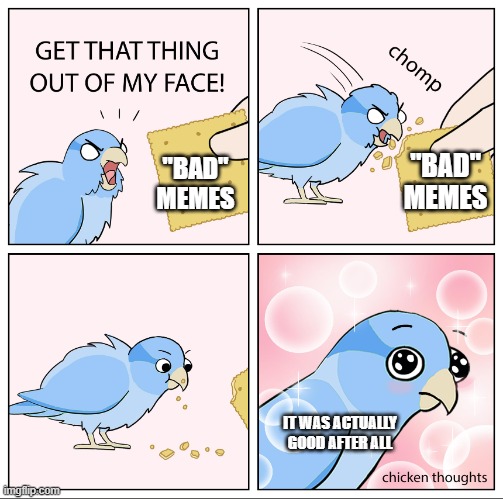 oh wow | "BAD" MEMES; "BAD" MEMES; IT WAS ACTUALLY GOOD AFTER ALL | image tagged in bird cracker | made w/ Imgflip meme maker