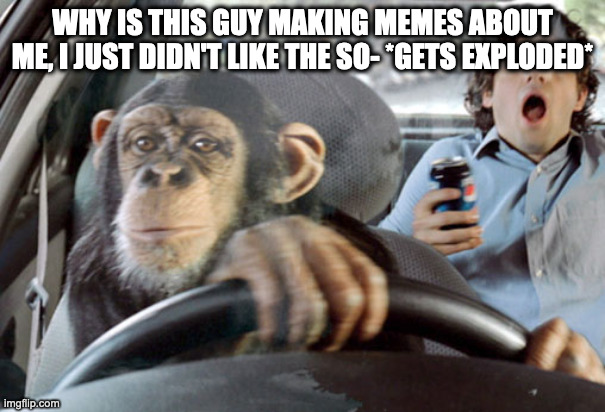 Monkey cab driver | WHY IS THIS GUY MAKING MEMES ABOUT ME, I JUST DIDN'T LIKE THE SO- *GETS EXPLODED* | image tagged in monkey cab driver | made w/ Imgflip meme maker