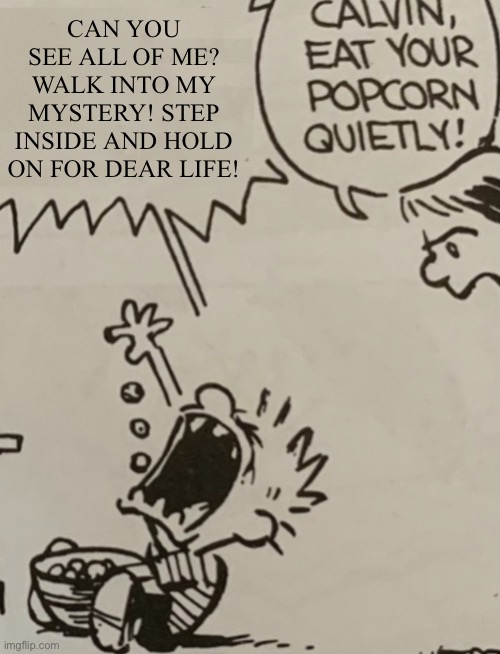 Calvin eat your popcorn quietly | CAN YOU SEE ALL OF ME? WALK INTO MY MYSTERY! STEP INSIDE AND HOLD ON FOR DEAR LIFE! | image tagged in calvin eat your popcorn quietly | made w/ Imgflip meme maker