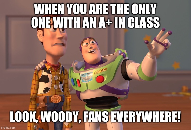 X, X Everywhere | WHEN YOU ARE THE ONLY ONE WITH AN A+ IN CLASS; LOOK, WOODY, FANS EVERYWHERE! | image tagged in memes,x x everywhere | made w/ Imgflip meme maker