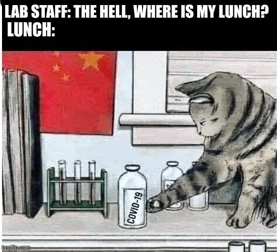 this is the edited versionmeme I just submitted, but it got denied, justly, but it wasn't fecking Japanese it was Chinese... I'l | LAB STAFF: THE HELL, WHERE IS MY LUNCH? LUNCH: | made w/ Imgflip meme maker