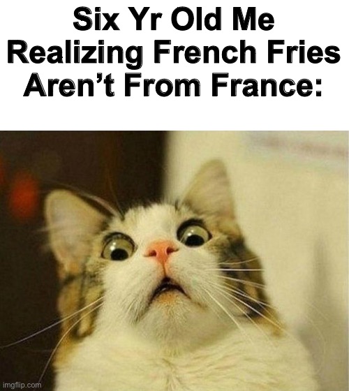 MIND BLOWN | Six Yr Old Me Realizing French Fries Aren’t From France: | image tagged in memes,scared cat | made w/ Imgflip meme maker
