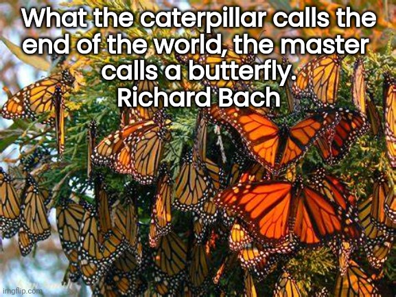 Butterfly Life Begins | What the caterpillar calls the
end of the world, the master 
calls a butterfly.
Richard Bach | image tagged in butterflies,caterpillar,life,so it begins | made w/ Imgflip meme maker