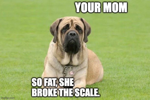 UR MOM | YOUR MOM; SO FAT, SHE BROKE THE SCALE. | image tagged in dog | made w/ Imgflip meme maker