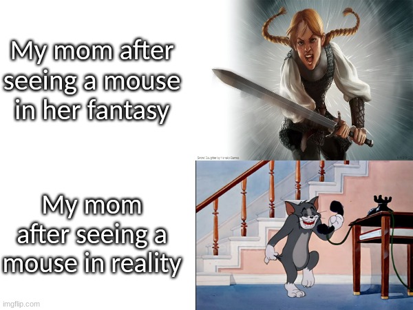 Hiding the fear | My mom after seeing a mouse in her fantasy; My mom after seeing a mouse in reality | image tagged in tom and jerry,memes,funny,humor,TomAndJerryMemes | made w/ Imgflip meme maker