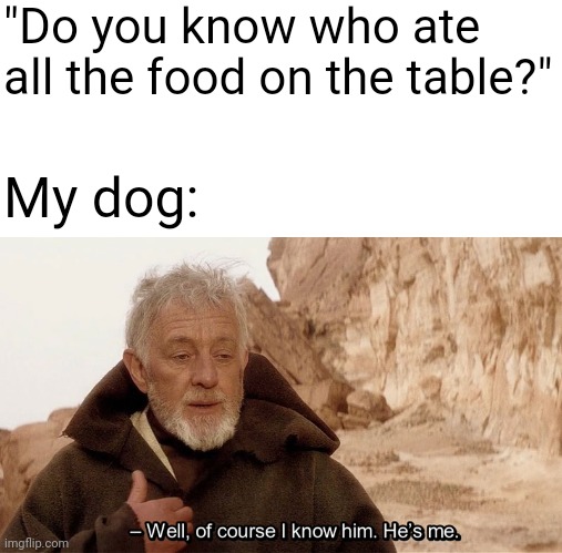 Dogs do be like that | "Do you know who ate all the food on the table?"; My dog: | image tagged in obi wan of course i know him he s me,memes,funny,dogs,true story,relatable | made w/ Imgflip meme maker