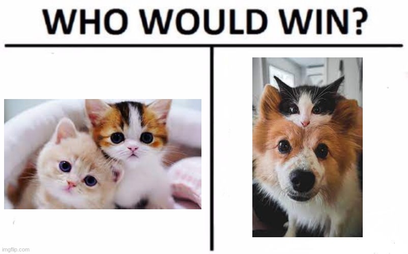 Who Would Win? | image tagged in memes,who would win | made w/ Imgflip meme maker