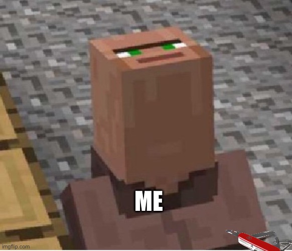 Minecraft Villager Looking Up | ME | image tagged in minecraft villager looking up | made w/ Imgflip meme maker