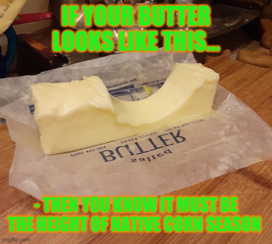Fresh corn on the cob YUM | IF YOUR BUTTER LOOKS LIKE THIS... - THEN YOU KNOW IT MUST BE THE HEIGHT OF NATIVE CORN SEASON | image tagged in season,fresh,vegetables,corn | made w/ Imgflip meme maker