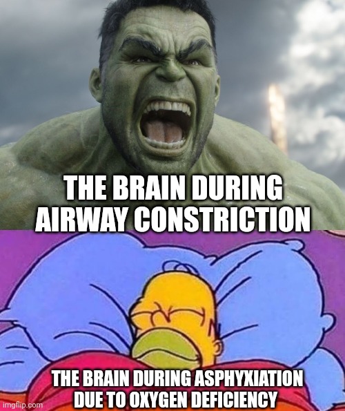 THE BRAIN DURING AIRWAY CONSTRICTION; THE BRAIN DURING ASPHYXIATION DUE TO OXYGEN DEFICIENCY | image tagged in raging hulk,homer sleep | made w/ Imgflip meme maker