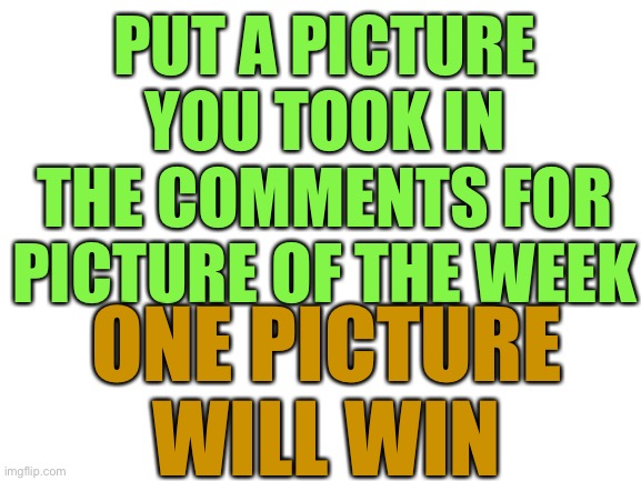 Picture of the Week | PUT A PICTURE YOU TOOK IN THE COMMENTS FOR PICTURE OF THE WEEK; ONE PICTURE WILL WIN | image tagged in blank white template,picture,week | made w/ Imgflip meme maker