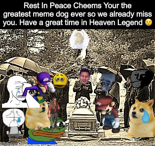 Rest In Peace Cheems | Rest In Peace Cheems Your the greatest meme dog ever so we already miss you. Have a great time in Heaven Legend 😢 | image tagged in funeral,sad,memes,not funny,cheems,depression | made w/ Imgflip meme maker