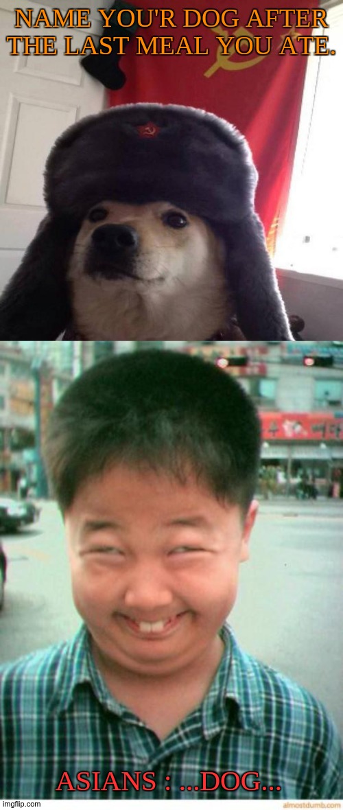 Asian mfs. | NAME YOU'R DOG AFTER THE LAST MEAL YOU ATE. ASIANS : ...DOG... | image tagged in russian doge,funny asian face,jk,i'm asian too | made w/ Imgflip meme maker